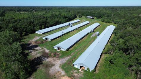 0 Holladay Road Manning SC 29102