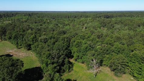 0 Holladay Road Manning SC 29102