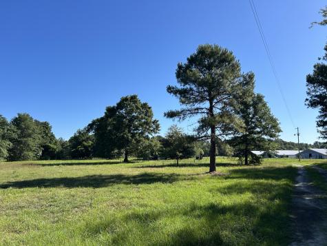 0 Holladay Road Manning SC 29102