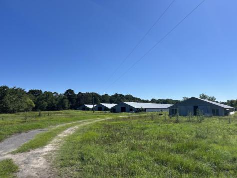 0 Holladay Road Manning SC 29102