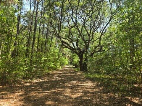 00 Bears Bluff Wadmalaw Island SC 29487
