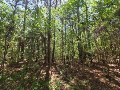 00 Bears Bluff Wadmalaw Island SC 29487