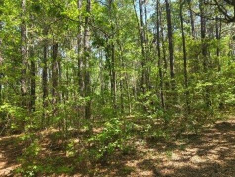 00 Bears Bluff Wadmalaw Island SC 29487