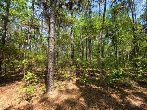 00 Bears Bluff Wadmalaw Island SC 29487