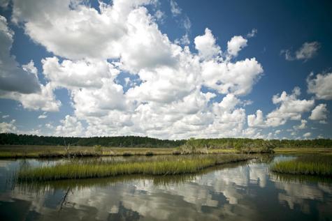 3989 Bulow Landing Road Ravenel SC 29470