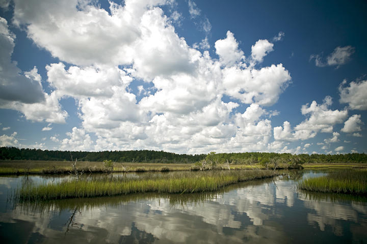 3989 Bulow Landing Road Ravenel SC 29470