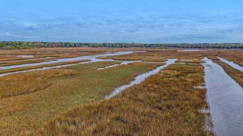 3989 Bulow Landing Road Ravenel SC 29470