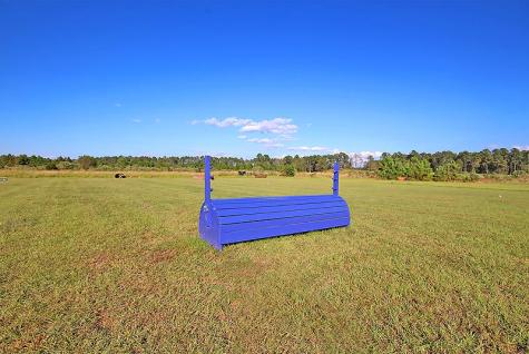 3989 Bulow Landing Road Ravenel SC 29470
