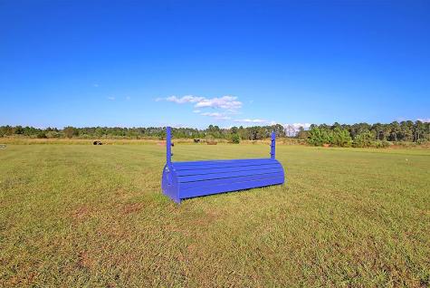 3989 Bulow Landing Road Ravenel SC 29470