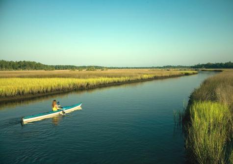 3989 Bulow Landing Road Ravenel SC 29470