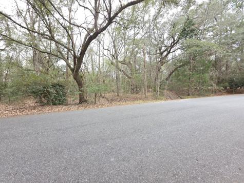 0 Timber Race Course Hollywood SC 29449