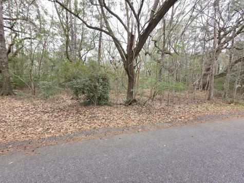 0 Timber Race Course Hollywood SC 29449