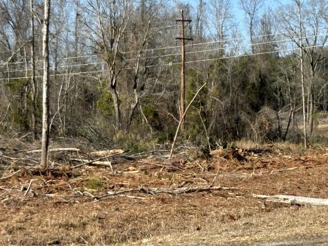 50 Acres Bridlewood Road Cheraw SC 29520