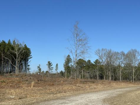 50 Acres Bridlewood Road Cheraw SC 29520