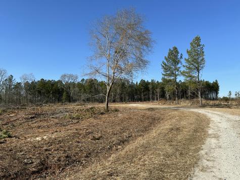 50 Acres Bridlewood Road Cheraw SC 29520