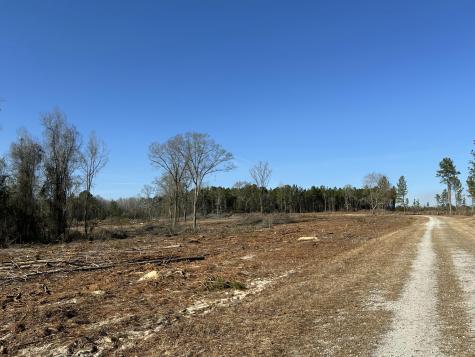 50 Acres Bridlewood Road Cheraw SC 29520