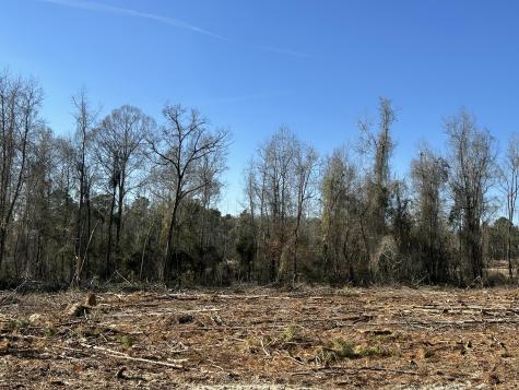 50 Acres Bridlewood Road Cheraw SC 29520