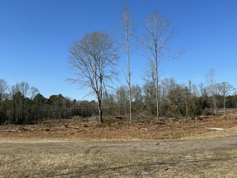50 Acres Bridlewood Road Cheraw SC 29520