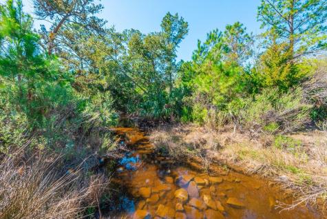 00 Sc Highway 174 Highway Edisto Island SC 29438