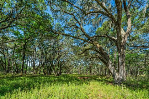 00 Sc Highway 174 Highway Edisto Island SC 29438