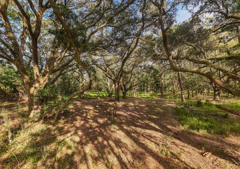 00 Sc Highway 174 Highway Edisto Island SC 29438