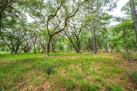 00 Sc Highway 174 Highway Edisto Island SC 29438