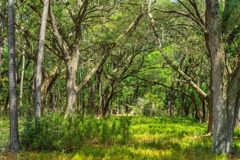 00 Sc Highway 174 Highway Edisto Island SC 29438