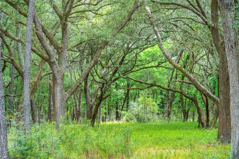 00 Sc Highway 174 Highway Edisto Island SC 29438
