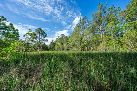 00 Sc Highway 174 Highway Edisto Island SC 29438