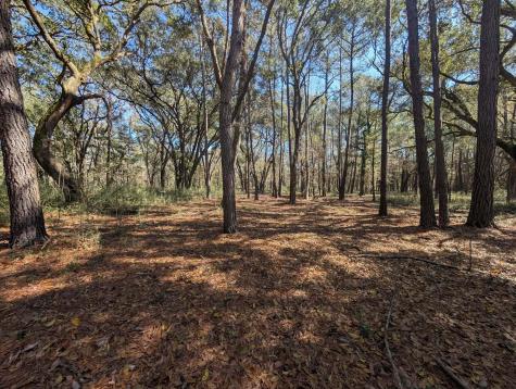 00 Sc Highway 174 Highway Edisto Island SC 29438