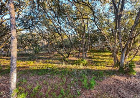 00 Sc Highway 174 Highway Edisto Island SC 29438