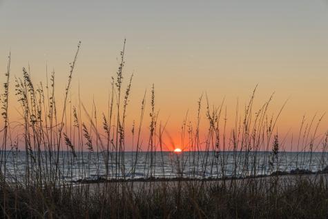 00 Sc Highway 174 Highway Edisto Island SC 29438
