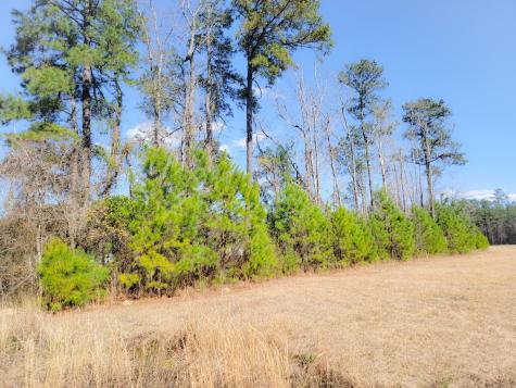 1374 Jedburg Road Summerville SC 29486