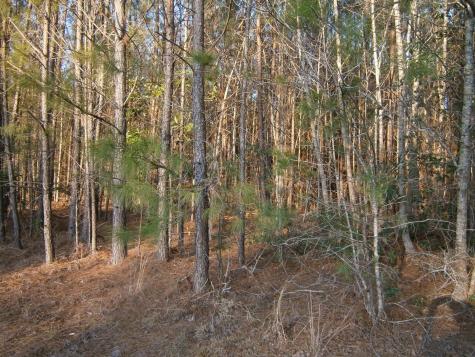 Tbd Dunham Williams Road Hardeeville SC 29927