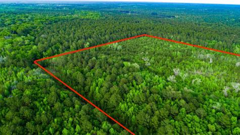 Tbd Dunham Williams Road Hardeeville SC 29927