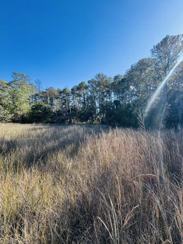 0 Rosa Scott Road Edisto Island SC 29438