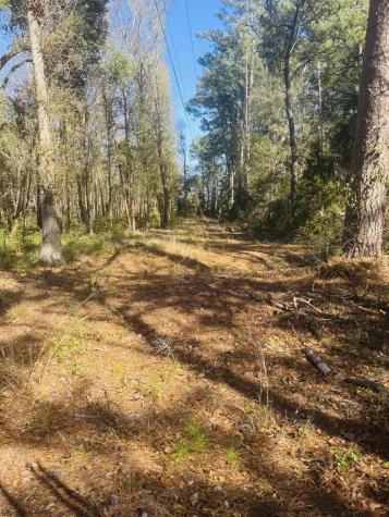 0 Rosa Scott Road Edisto Island SC 29438