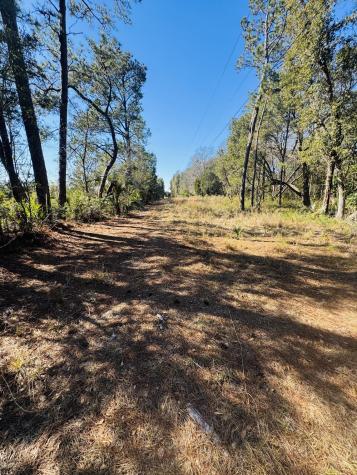 0 Rosa Scott Road Edisto Island SC 29438