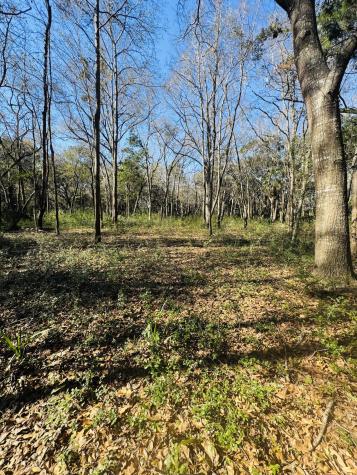 0 Rosa Scott Road Edisto Island SC 29438