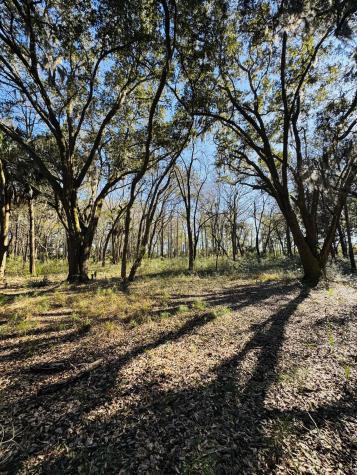 0 Rosa Scott Road Edisto Island SC 29438
