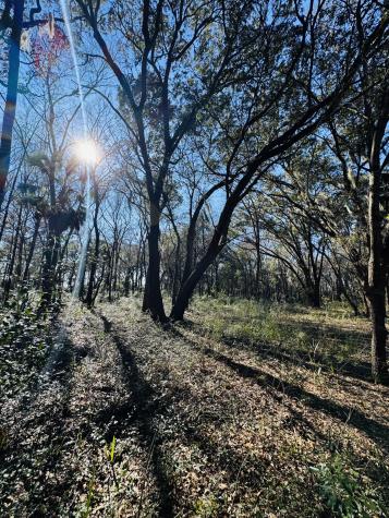 0 Rosa Scott Road Edisto Island SC 29438