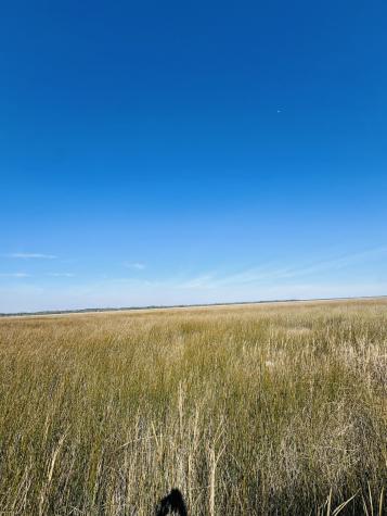 0 Rosa Scott Road Edisto Island SC 29438