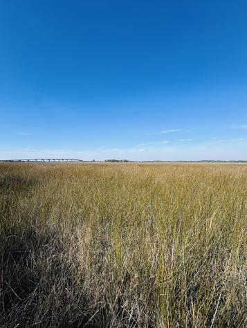0 Rosa Scott Road Edisto Island SC 29438