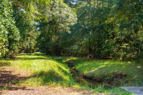 0 Darrell Creek Trail Mount Pleasant SC 29466