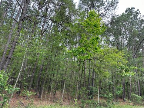 02 Mallard Road Summerville SC 29483