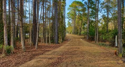 5611 S Highway 165 Ravenel SC 29470