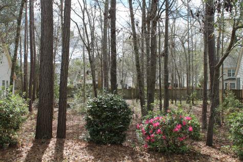 228 Comiskey Park Circle Summerville SC 29485