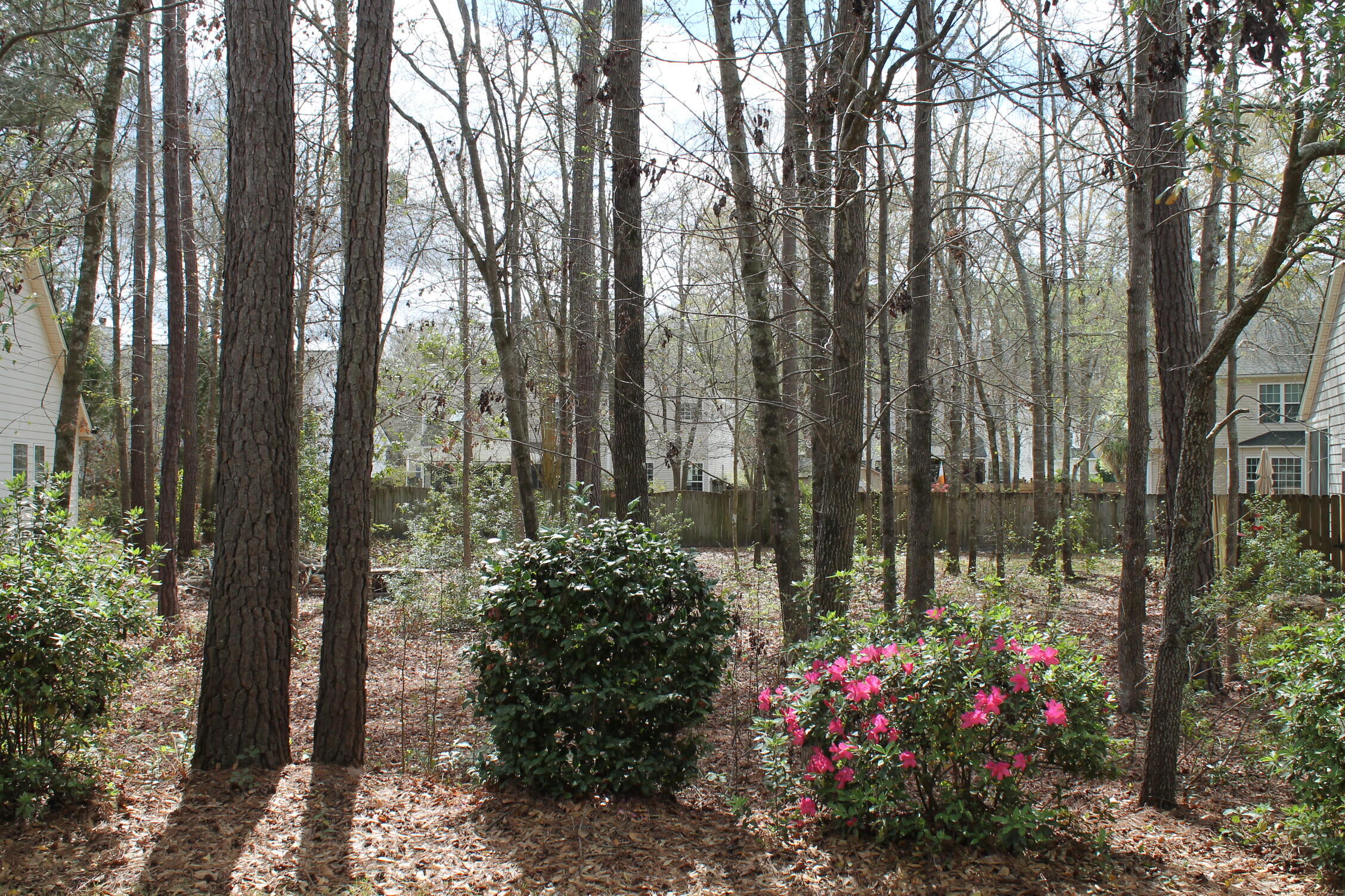 228 Comiskey Park Circle Summerville SC 29485