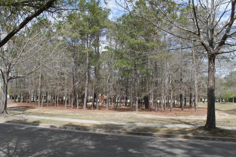 228 Comiskey Park Circle Summerville SC 29485