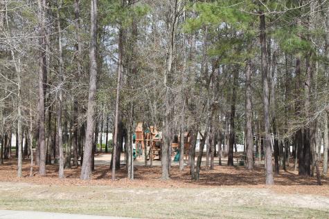 228 Comiskey Park Circle Summerville SC 29485